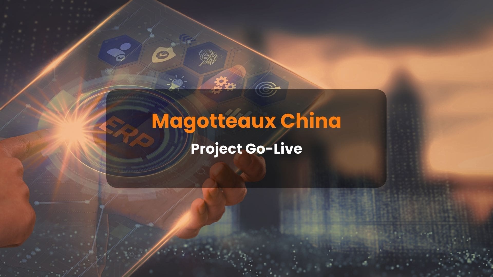 Successful Go-live SAP Regional Roll-out Project with Magotteaux China
